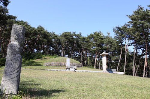아곡 박수량 선생의 묘지 전경. 전남 장성군 황룡면 금호리 뒷산 솔숲에 자리하고 있다.