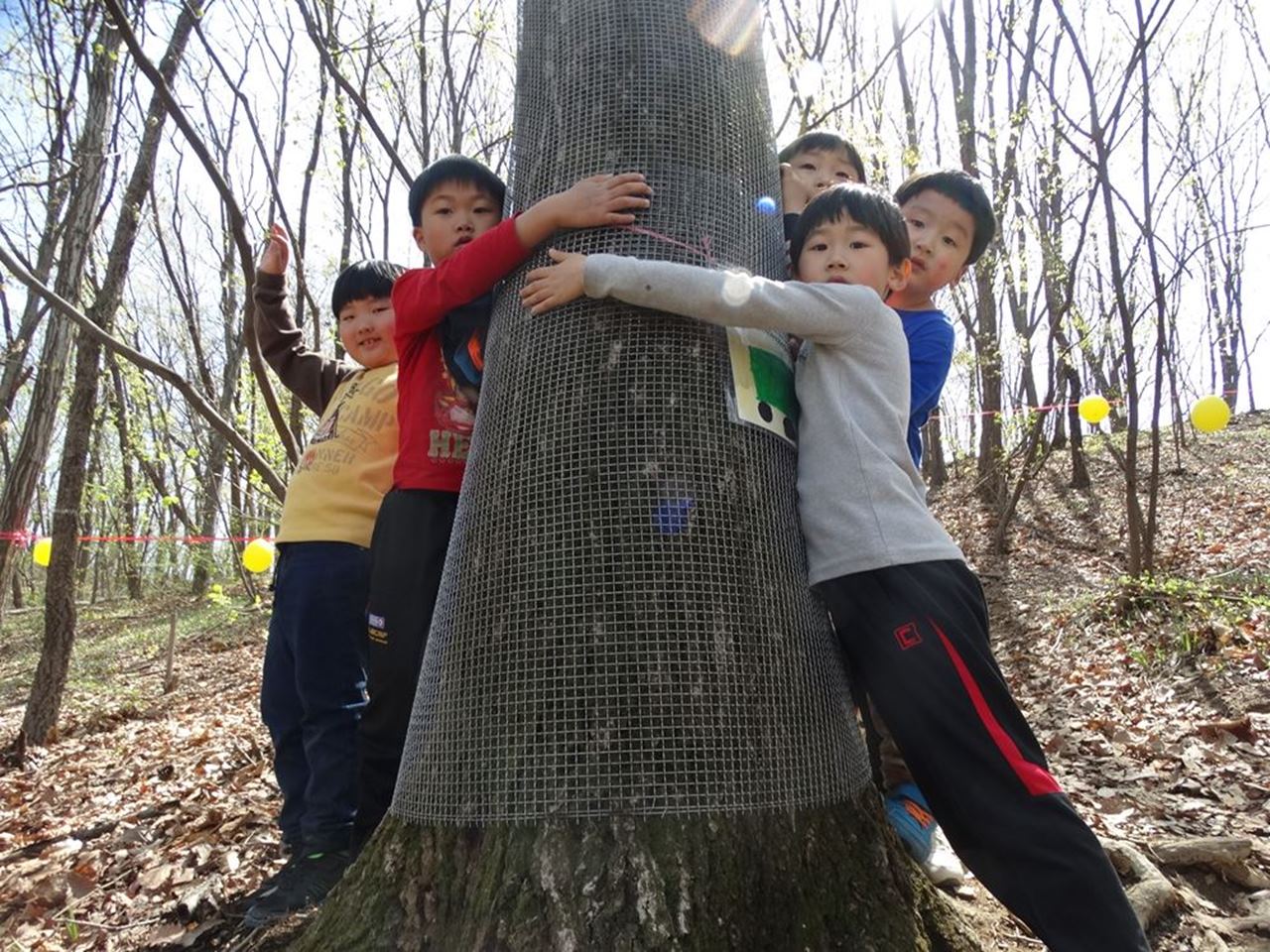 숲 생태 체험에 나선 지곡초등학교 학생들이 껴안고 있는 약 100살 가까운 신갈나무다. 그러나 이 나무도 교육부의 잘못 때문에 잘려 나갈 위기에 처해 있다. 