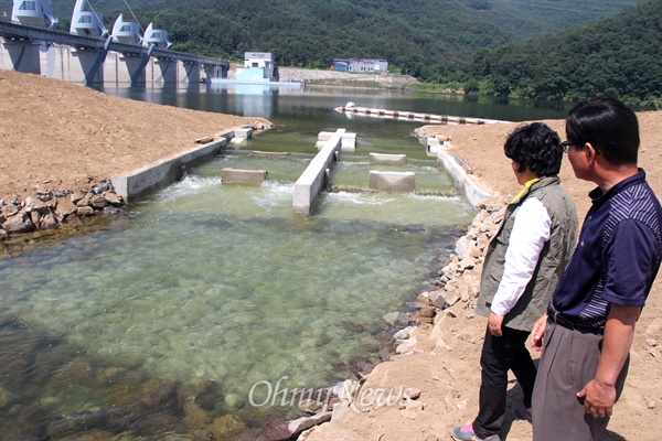  한국수자원공사는 낙동강 합천창녕보 좌안 어도(물고기 이동통로) 보수공사를 지난 4~5월 사이 실시해 최근 마무리지었다. 어도의 물 흐름을 더 느리게 하기 위한 보수공사를 벌인 것이다.