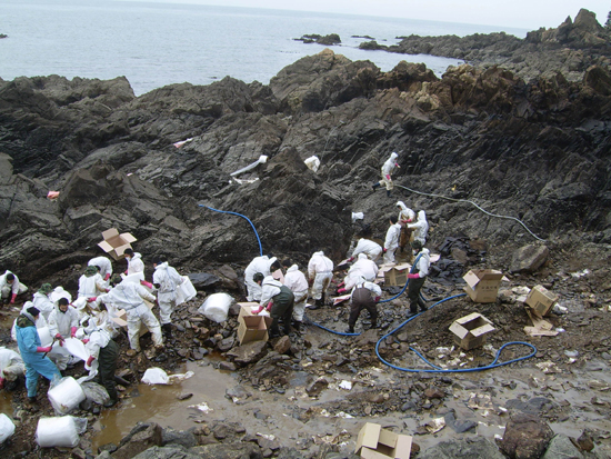 2008년 1월 28일, 태안의 한 해변에서 기름 제거 작업을 하고 있눈 자원봉사자들
