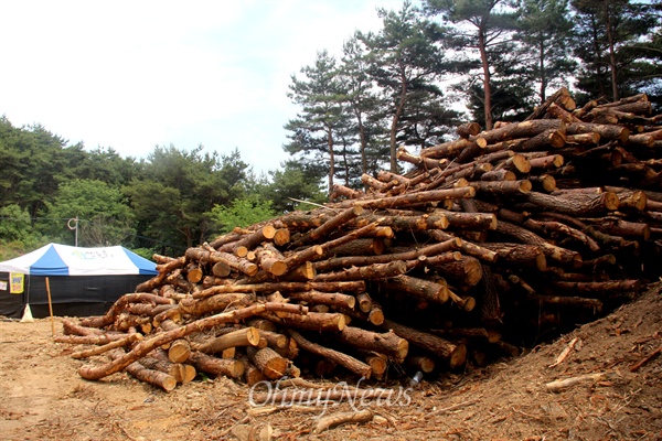  의령군청과 유니슨(주)는 의령 한우산 능성을 따라 총 25기의 풍력발전기를 짓는 공사에 들어가면서 아름드리 나무를 베어냈다.