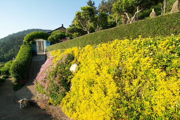꽃으로 뒤덮인 아름다운 섬집
