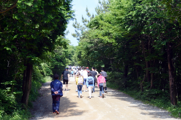 여행자들이 남해 금산 보리암에 오르고 있다. 아늑한 숲길이 걷기에 편하다.
