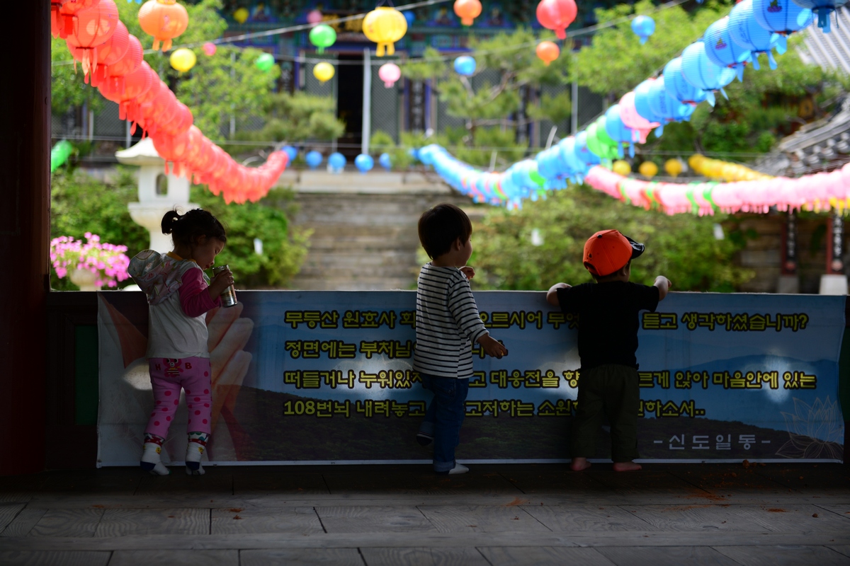 대웅전을 바라보는 콩콩이 회암루에 올라 대웅전을 바라보고 있다. 처마에서 떨어진 흙더미에서만 뛰어다닌다. 풀, 흙, 나무, 곤충 등 자연과 함께 마음껏 뛰놀면서 자라야지...