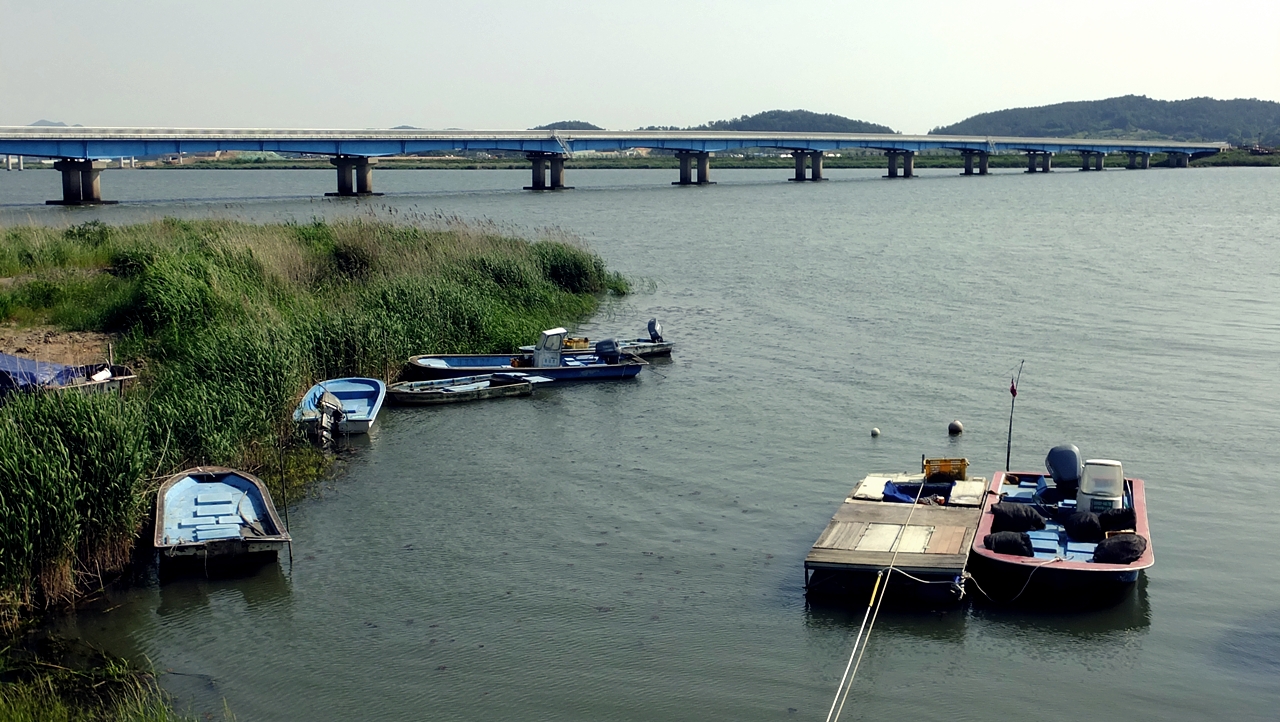 강폭이 넓어지고 어선들이 나타나는 몽탄대교 아래 영산강.