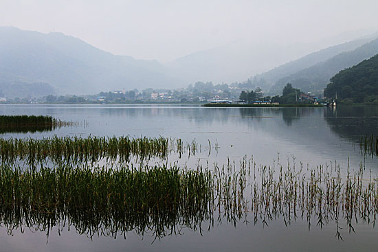 서오지리 연꽃단지에서 바라본 북한강 풍경.