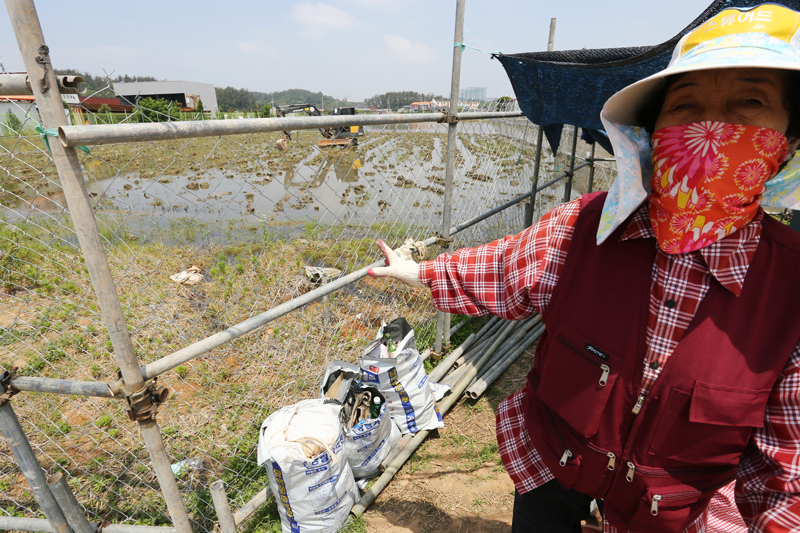 미성동 공사현장에서 농성 중인 전아무개 할머니(80세)는 "한전이 용역을 동원해 반대 주민들을 팽개치듯 내던졌다"며 한전에 분통을 터뜨렸다. 
