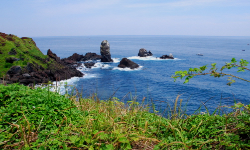  섭지코지(성산일출봉의 남서쪽에 있다. 높이 29m. 본래는 섬이었으나, 육계사주로 인해 본토와 연결된 육계도이다. 남쪽해안의 기암절벽에는 주상절리, 시스택, 단애 등이 잘 발달되어 있다.)
