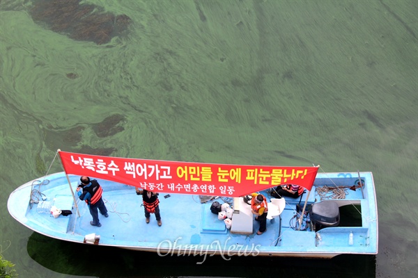 최근 낙동강에서 어류가 집단 폐사하자 '낙동강내수면 어민총연합회'는 21일 오전 대동선착장에서 하굿둑까지 선박시위를 벌이며 '하굿둑과 대형 보 철거'를 촉구했는데, 화명대교 아래에 녹조가 창궐해 있다.