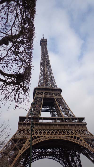 네모 반듯하게 머리를 깎은 가로수가 인상적인 에펠탑