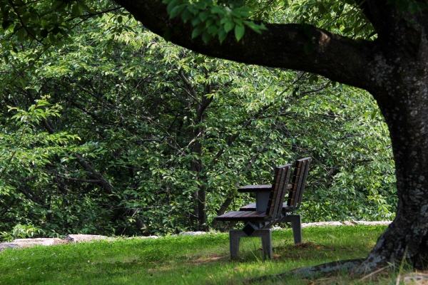  시간이 지나면 그날의 기억은 점점 사라져버리지만 ‘전쟁의 흉터’를 통해 어제를 마주하고 내일을 향해 가는 우리의 다짐이었으면 한다. 