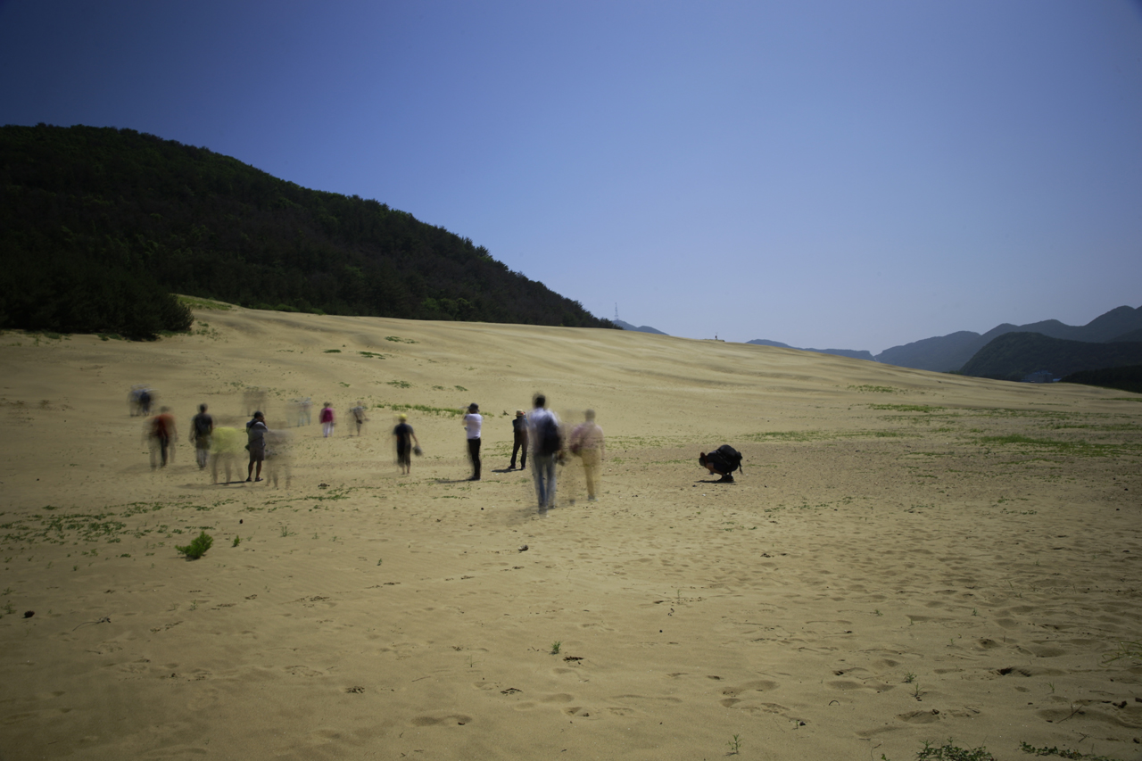 국내에서 유일하게 모래산이 형성된 곳이라고 하며, 한국의 사하라로 불리운다.