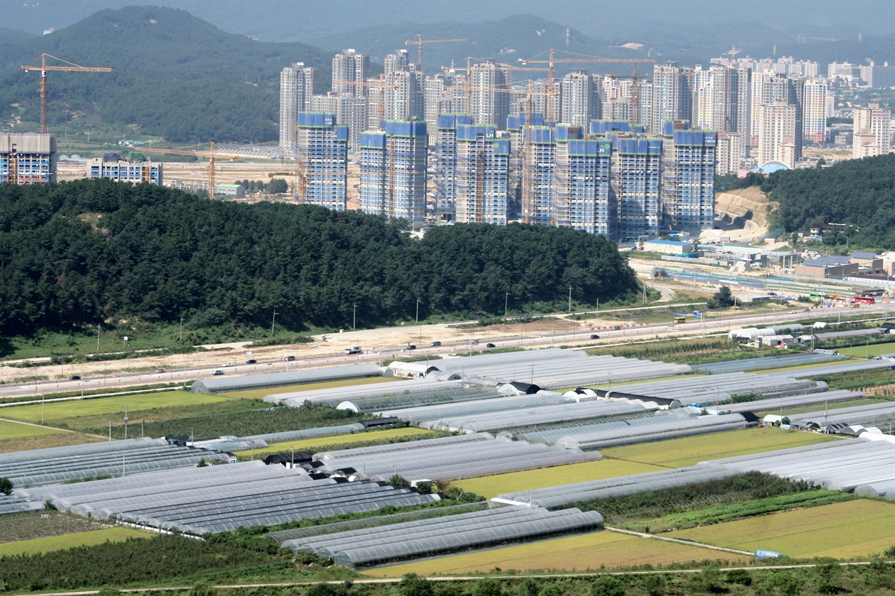 현재의 도안동 대전 서남부 신도심 도안동은 아파트 숲이 점차 커지고 있다.