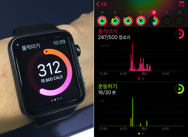 애플워치 활동 앱. 애플워치로 측정한 움직이기, 걷기-달리기, 일어서기 기록이 아이폰으로 전달된다