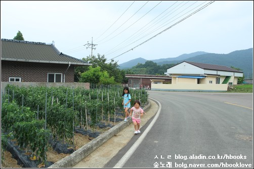 아이들 앞에서 사진 찍기는 생각보다 쉽지 않습니다.