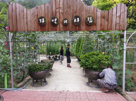 '자연과 사람' 입구. 앉은 채 식물들을 돌보고 있는 천대윤 씨의 뒷모습과 관람객 두 사람이 보인다.