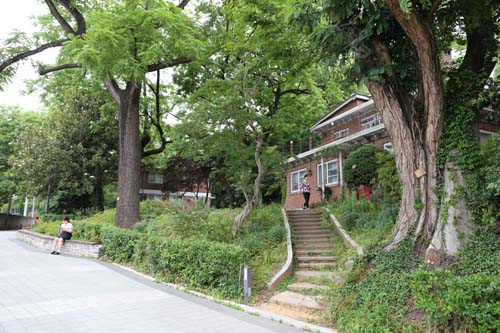 전통과 근현대가 오롯이 남아있는 광주 양림동. 아까시나무와 흑호도나무가 어우러진 게스트하우스 풍경이다. 최근 시작된 텔레비전 드라마 '너를 기억해'의 촬영무대로 쓰였다.