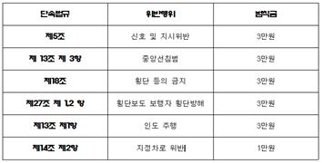 7월 1일부터 8월 31일까지 자전거에 대해 집중단속하는 항목들