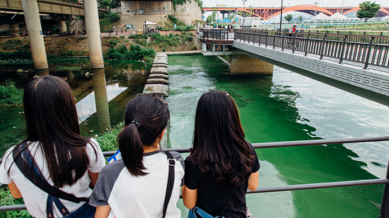 서울 마포구 성산대교 북단 홍제천 합수부 인근에서 어린이들이 짙은 녹색으로 변한 한강 물을 보고 있다.