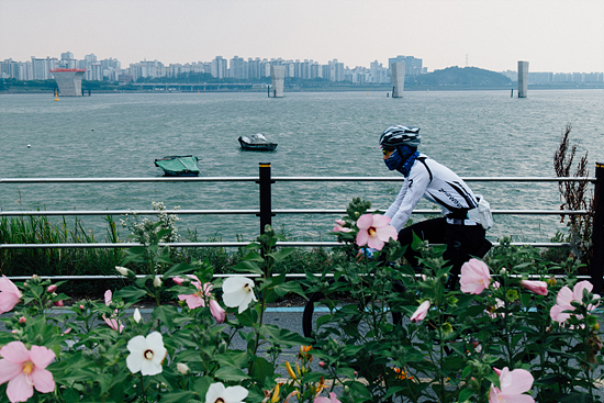 성산대교 북단 공원에서 초록빛으로 변한 한강을 배경으로 시민들이 자전거를 타고 있다.