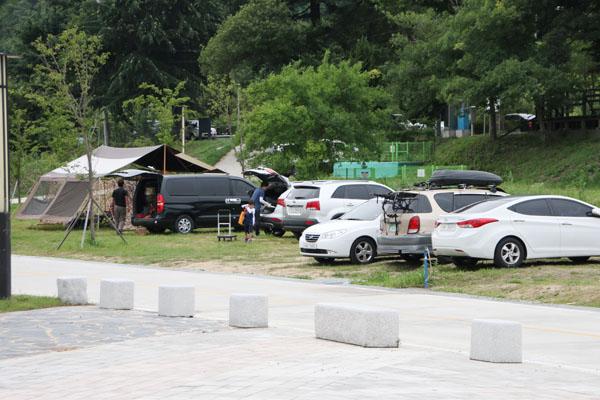 황산문화체육공원 피서객들이 지정 주차장이 아닌 잔디밭에 주차를 하고 있다.