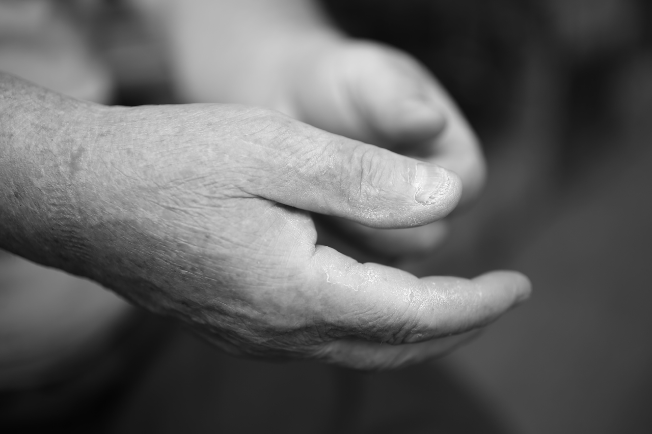아름다운 손 박경원 할아버지의 손, 지난 60년의 세월의 흔적들이 손에 새겨져 있다.