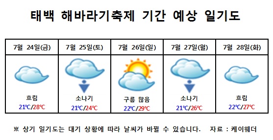  태백 해바라기축제 기간 예상 일기도