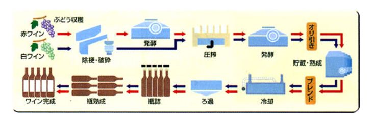 포도주 제조과정
