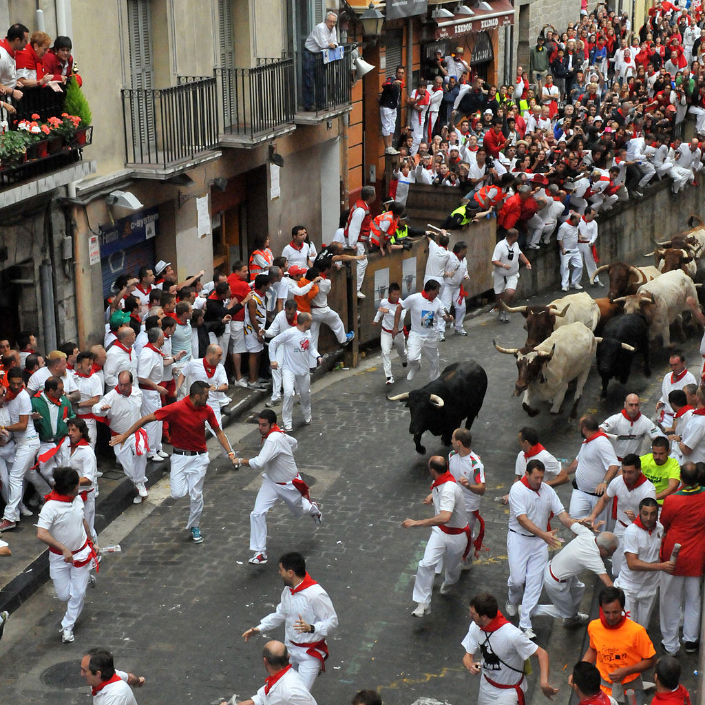  산페르민 축제의 소몰이 장면. 소와 군중 모두 부상당하는 일이 속출한다. 위키피디아.