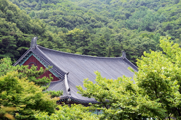 각원사 대웅보전 용마루 양 끝을 장식한 치미와 아름다운 지붕 곡선이 조화를 이룬다.