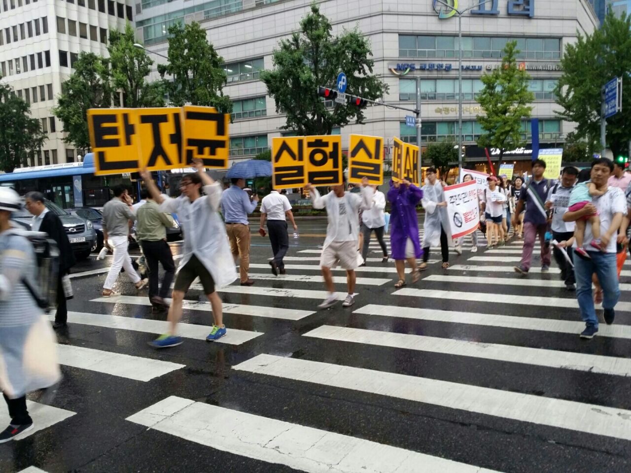 탄저균 규탄 촛불행진 참가자들이 신호등을 건너며 시민들을 만나고 있다.