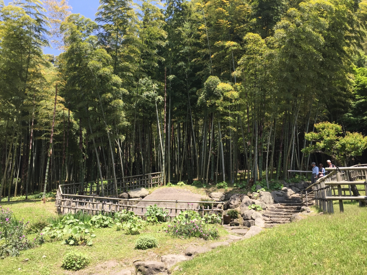 센강엔의 대나무숲