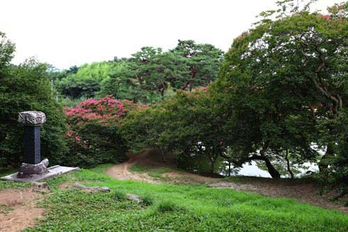 명옥헌에서 내려다 본 원림 풍경. 배롱나무와 노송이 연못을 감싸고 있다.
