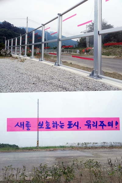 전북 부안군 계화면 계화리 도로변에 있는 투명방음벽에 분홍 테이프들이 붙었다.