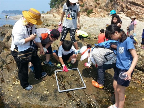  마산창원진해환경연합은 30일 진해 소쿠리섬에서 '섬으로 찾아가는 해양환경교육'을 벌였다.