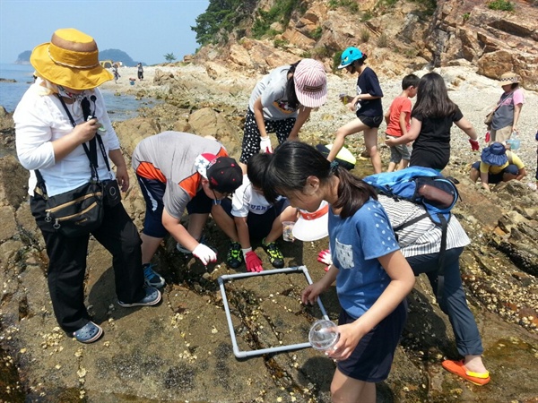  마산창원진해환경연합은 30일 진해 소쿠리섬에서 '섬으로 찾아가는 해양환경교육'을 벌였다.