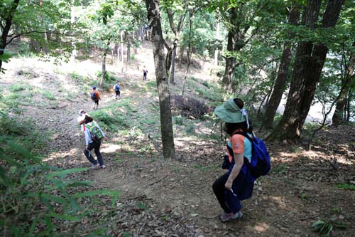  장성댐의 수변을 따라가는 장성호 호반길. 오르막 길도 있지만 비교적 평탄한 숲길이다.