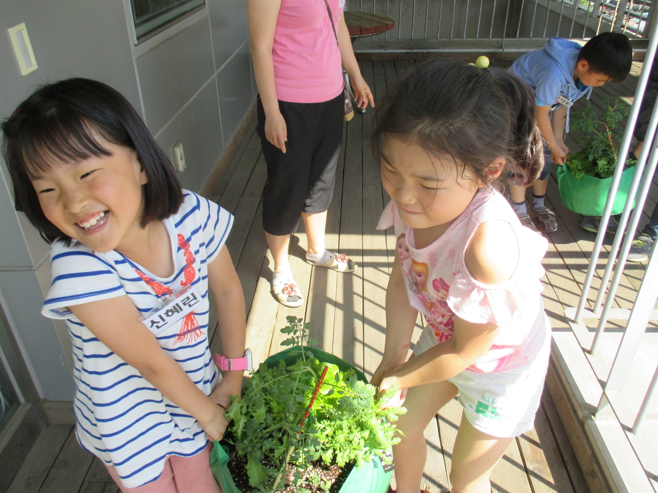 먹거리 수업 중 그로우 백에 모종을 심어 옥상으로 옮기는 아이들 