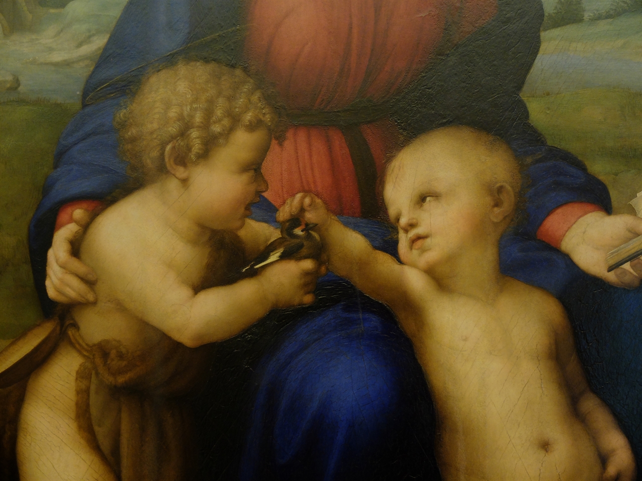 라파엘로, '방울새의 성모'(부분), 피렌체 우피치미술관. 아기 세례 요한이 건네고 있는 방울새는 앞으로 닥칠 예수의 수난을 상징하는 새입니다. 두 아기의 천진한 표정과 대비되어 비극성을 강조하죠.