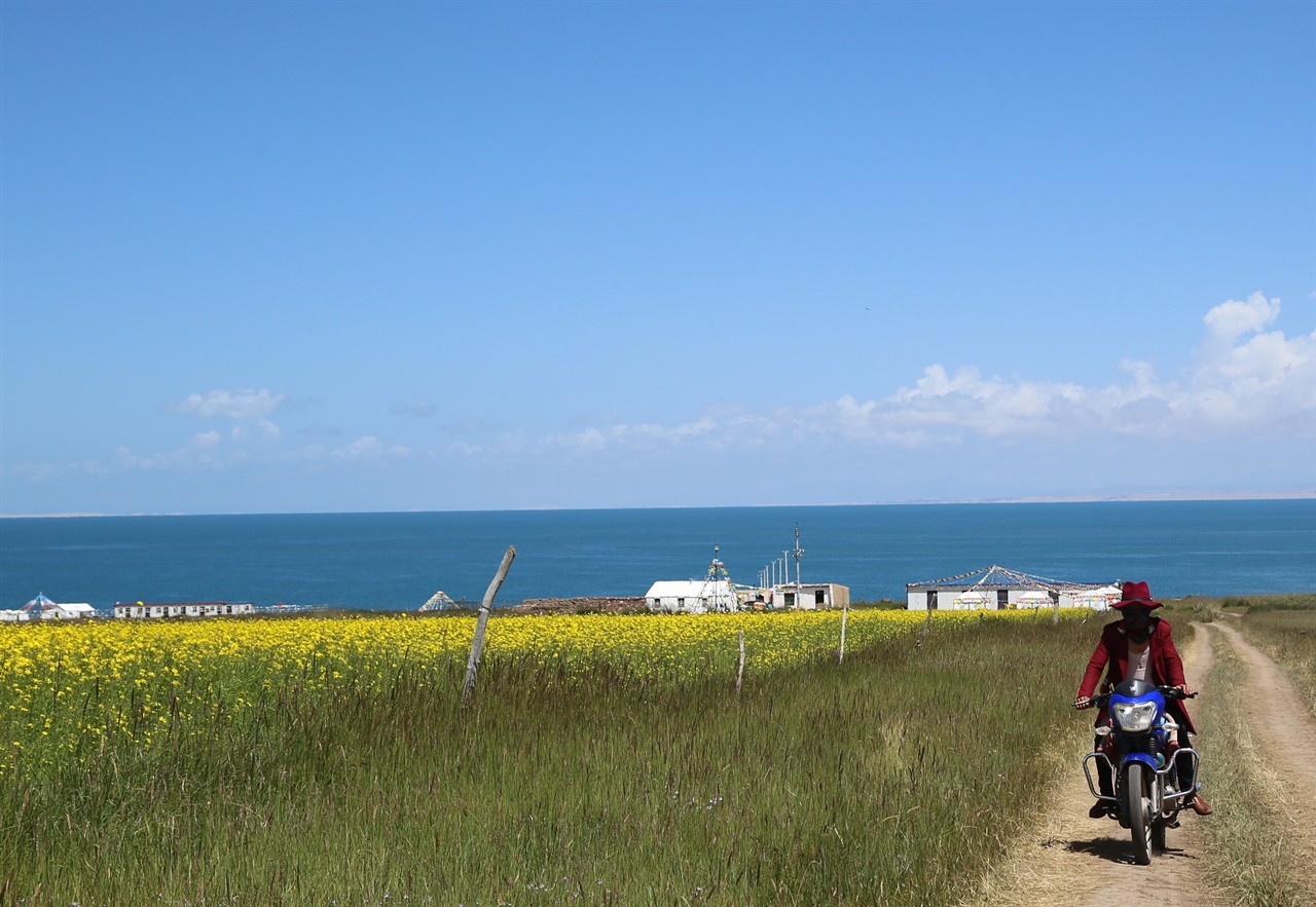 중국 내륙 최대의 담수호인 청해(靑海)호 주변을 오토바이 탄 남자가 달리고 있다. 청해를 품은 칭하이성 시닝(西寧)시에서 ‘2015 최치원 중국전’이 열렸다. 