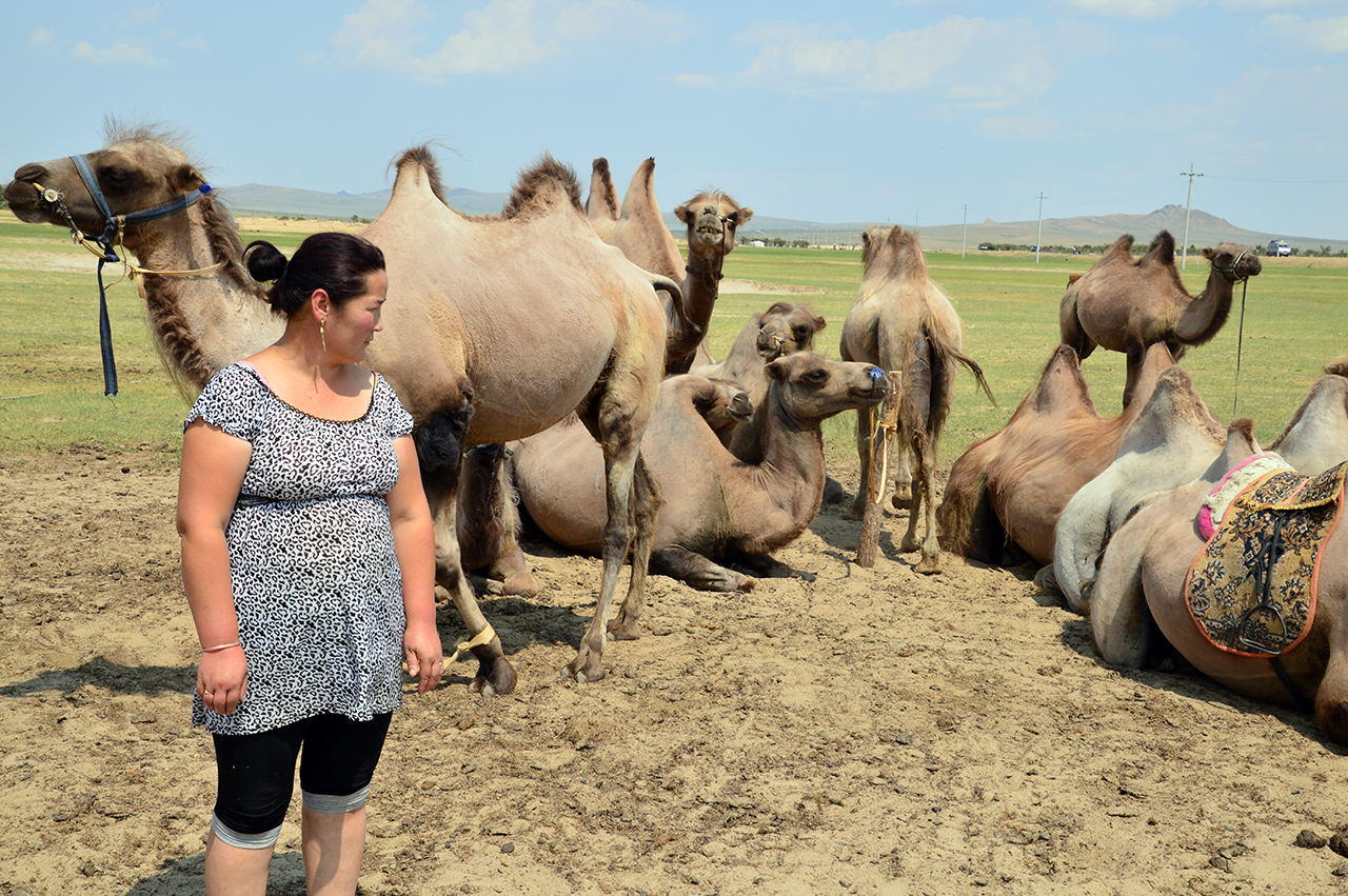 몽골의 엘승타사르하이 사막에서는 낙타타기를 즐길 수 있다.