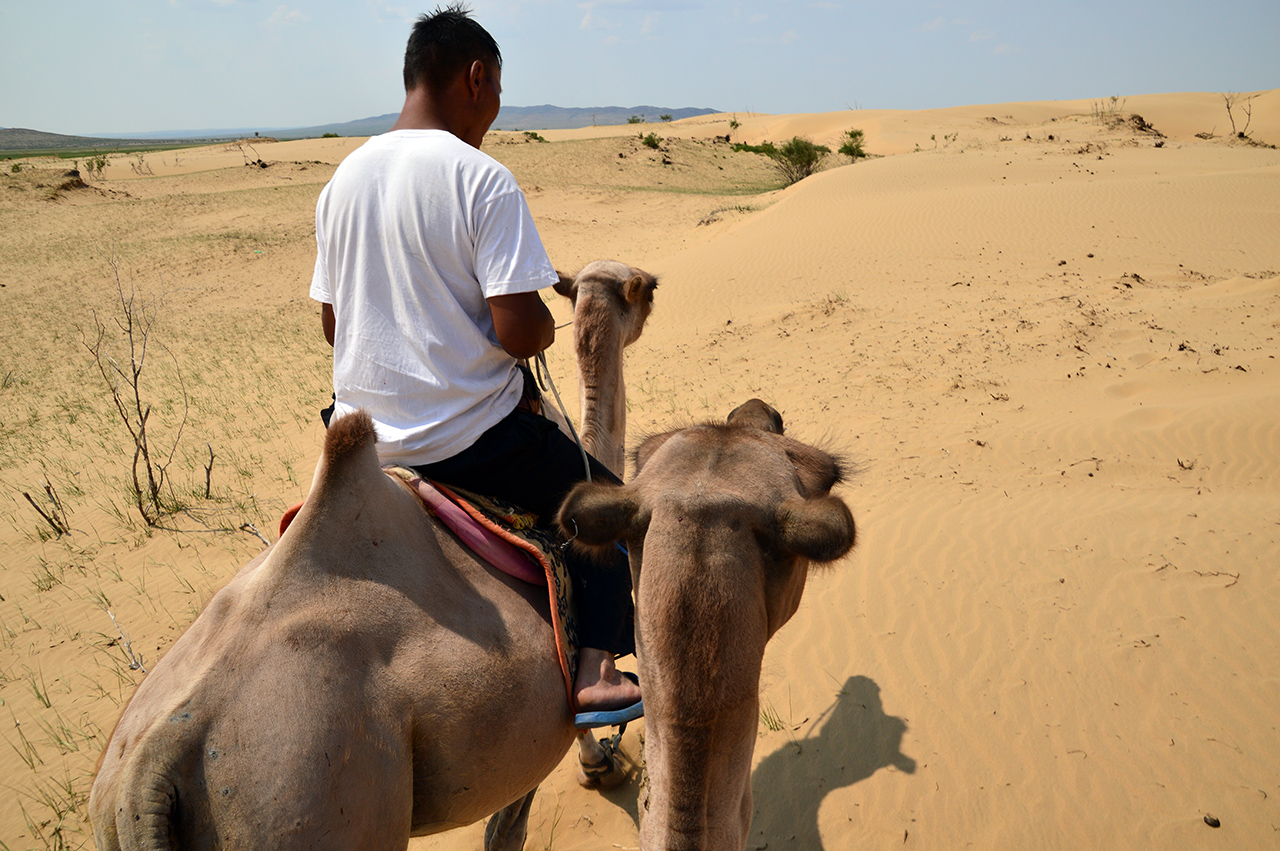 사막으로 나갈 때는 낙타 주인이 낙타 고삐 줄을 잡고 이끌어준다.