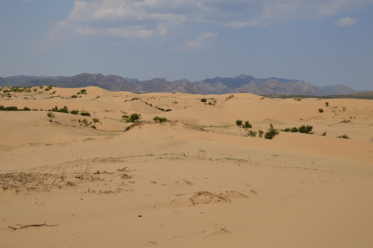 낙타에서 내려 아내와 함께 사막의 고운 모래를 느껴보았다.