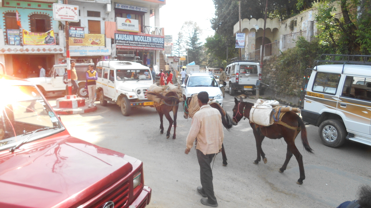 관광객들이 도착할 무렵이면 차량들로 붐비는 코사니 주차장, 네팔 사내는 관광객들을 상대로 일당벌이를 하고 있었다.