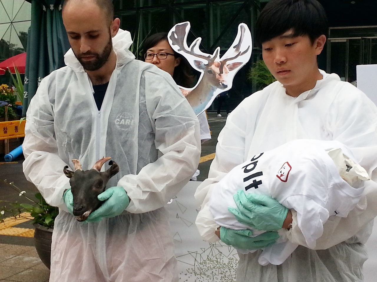 동물보호단체 '케어'와 '동물을 위한 행동'은 목이 잘린 서울대공원의 새끼 흑염소 사체를 공개하며 지난 20일 서울 시청 앞에서 대책 마련을 촉구하는 기자회견과 퍼포먼스를 가졌다. 