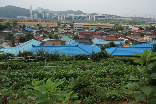 밭에서 본 우리 동네.