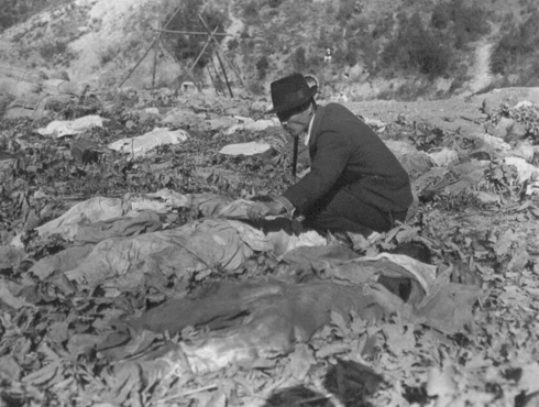  함흥 덕산 광산, 늘려져 있는 400여 구의 시신 가운데 아들을 찾는 어느 아버지(1950. 11. 14.).