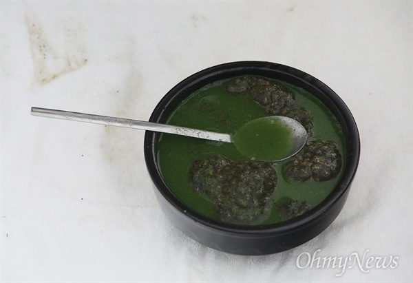 지난해 8월 24일 오후 낙동강에서 구한 녹조와 큰빗이끼벌레로 MB를 위한 특별한 '국밥'을 만들었다.
