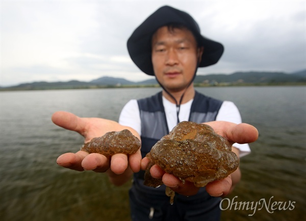  '낙동강지킴이' 정수근 시민기자가 24일 오후 낙동강 구미구간에서 건져올린 큰빗이끼벌레를 보여주고 있다.