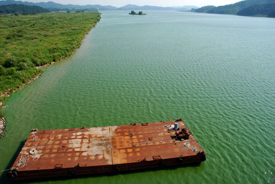 충남 부여군과 전북 익산시를 연결하는 웅포대교에서 바라본 금강은 녹조로 가득하다.